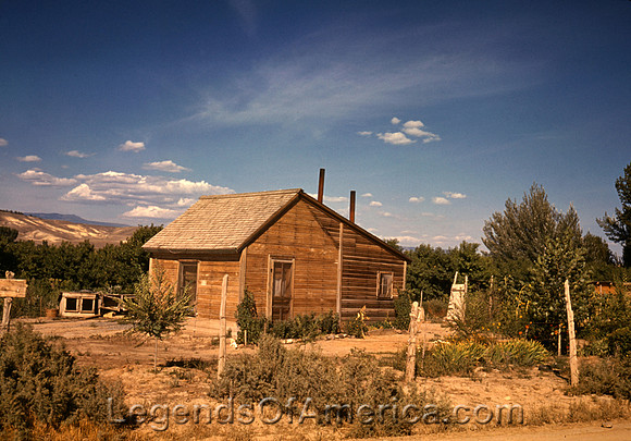 Delta County, CO - Fruit Tree Rancher, 1940