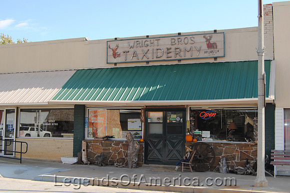 Moline, KS - Taxidermy