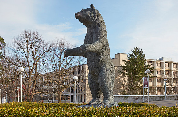 Springfield, MO - Missouri State University Bear Sculpture