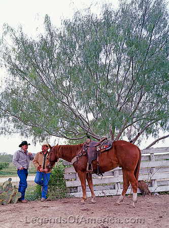 West Texas - Cowboys