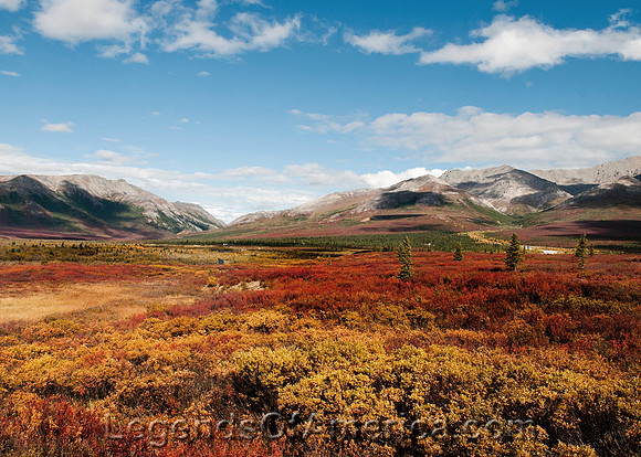 Denali National Park, AK - Savage River