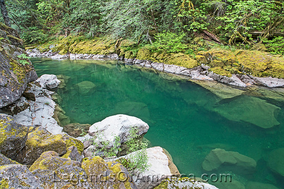 Quartzville Creek Wild and Scenic River, OR