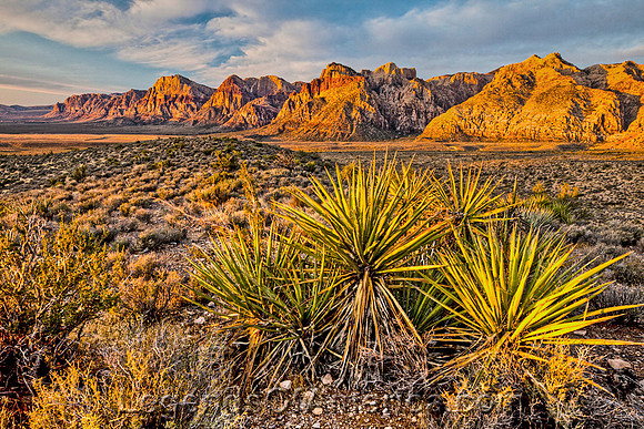 Red Rock Canyon, NV - Scenery