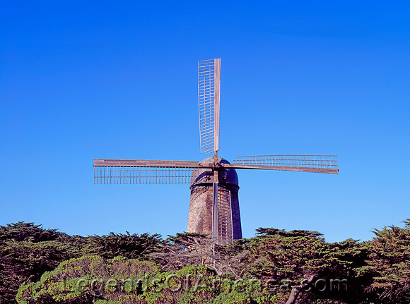 San Francisco, CA - Golden Gate Park Dutch Windmill