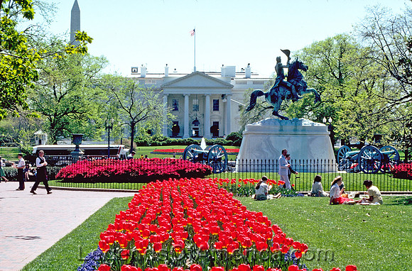 Washington, D.C. - White House