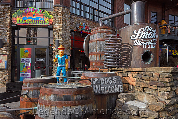 Gatlinburg, TN - Street Scene
