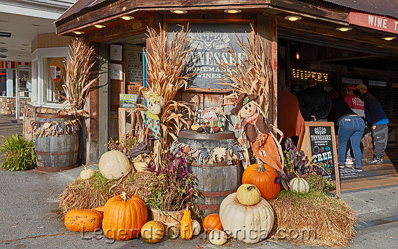 Gatlinburg, TN - Decorations - 2