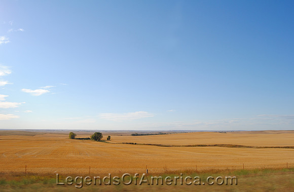 Southwest North Dakota Wheat Fields