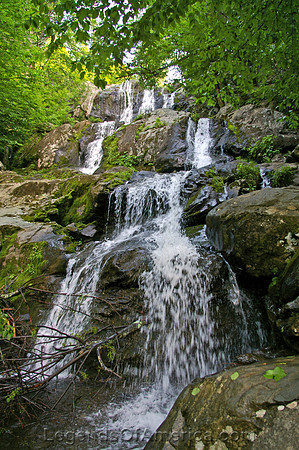 Shenandoah National Park, VA - Dark Hollow Falls - 2