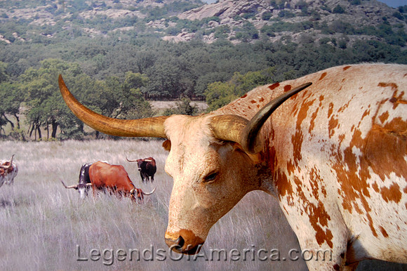 Oklahoma City, OK - Nattional Cowboy Museum - 2