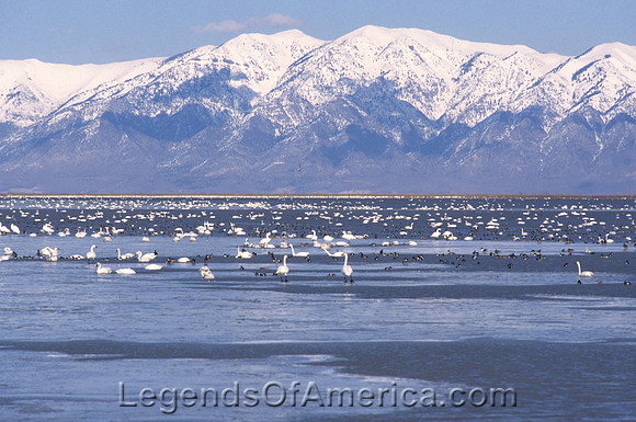 Salt Lake City, UT - Great Salt Lake