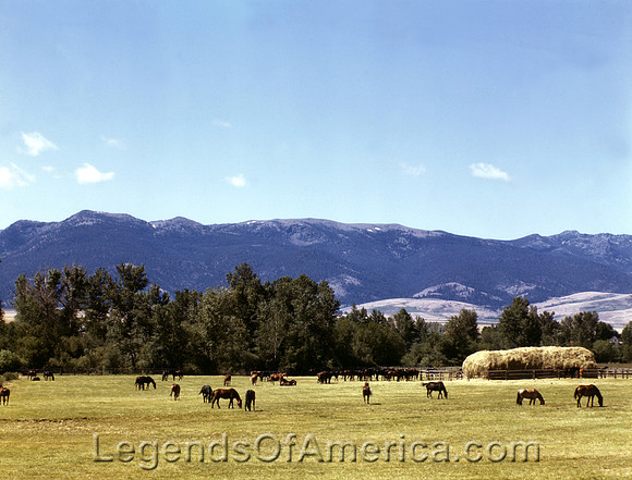 Grant County, OR - Horse Ranch