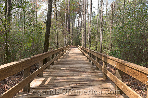 Big Thicket National Preserve, TX - Plank Walkway