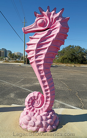 Perdido Key, FL - Sea Horse