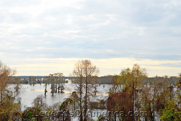 Atchafalaya Swamp, LA
