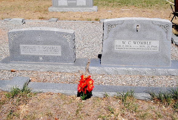 William Carson and Mollie T. Robinson Womble