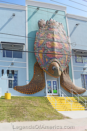 SouthPadreIslandTurtleBldg