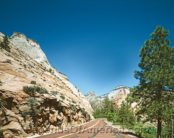 Zion National Park, UT - Road