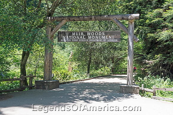 Marin County, CA - Muir Woods National Monument