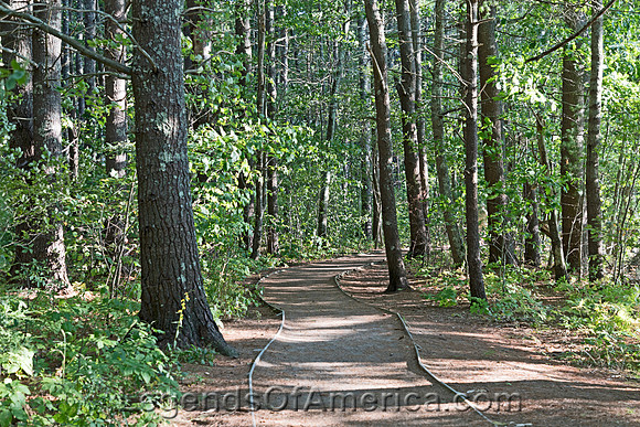 Wells, ME - Rachel Carson National Wildlife Reserve Trail