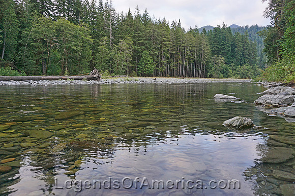 Olympic National Park, WA - Quinault River
