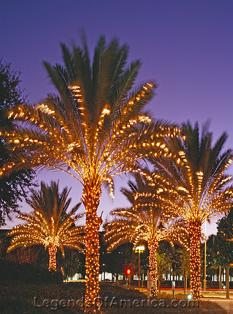 Orlando, FL - Peabody Hotel