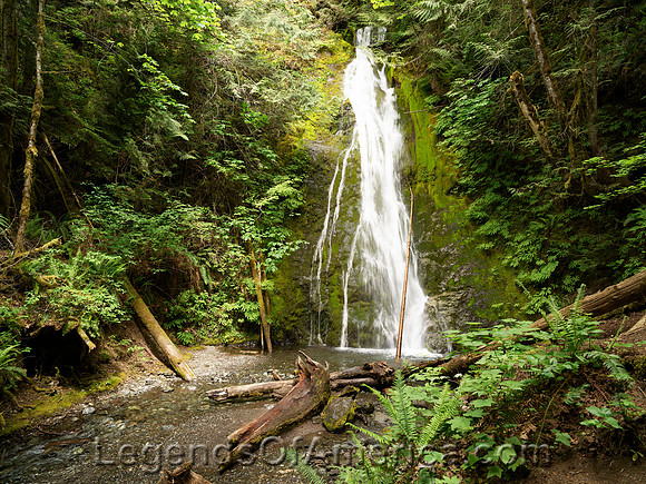 Olympic National Park, WA - Madison Creek Falls