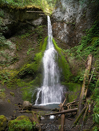 Olympic National Park, WA - Marymere Falls