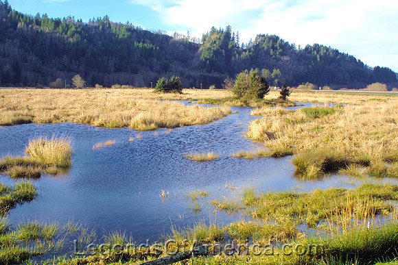Dean Creek, OR