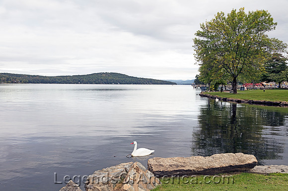 Merideth, NH - SwanonMeredithBay
