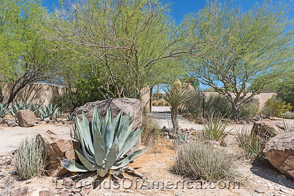 Lajitas, TX - Lajitas Golf Resort and Spa