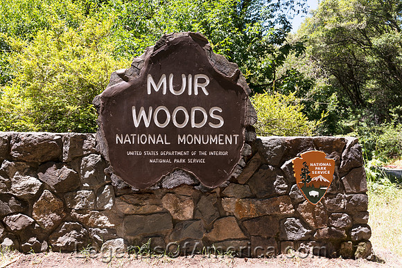 Marin County, CA - Muir Woods National Monument