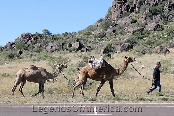 Fort Davis, TX - Camel Corps Re-enactment