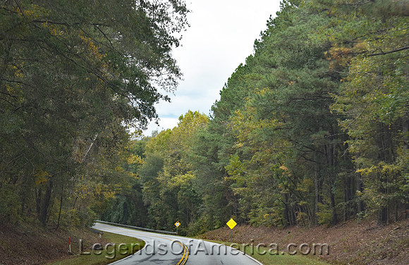 Sumter National Forest, SC - Road - 2