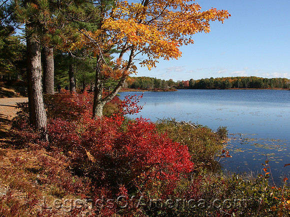 Acadia National Park, ME - Autumn
