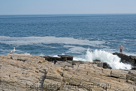 Cape Elizabeth, ME - Rocky Coastline - 2