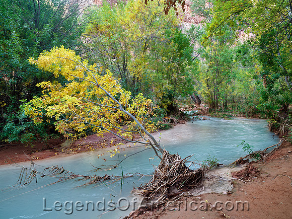 Havasu Canyon, AZ - Havasu Creek