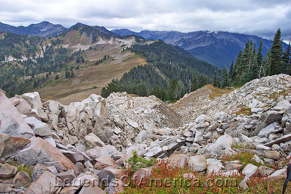 Olympic National Park, WA - Olympic Mountains
