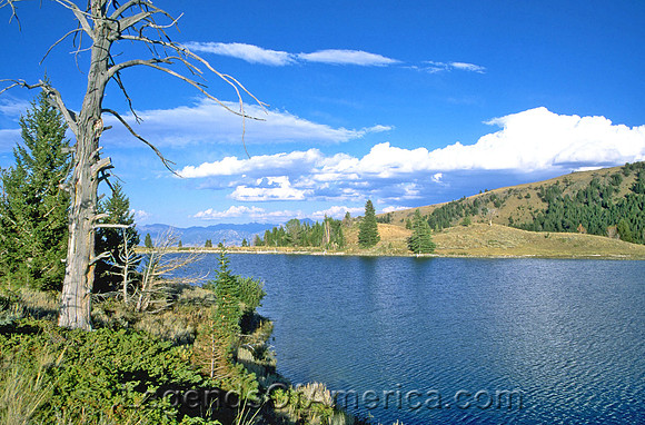 Madison County, MT - Axolotl Lake - 4