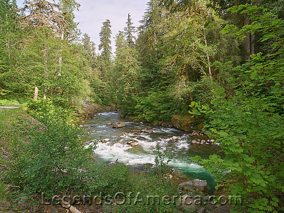 Olympic National Park, WA - Sol Duc River