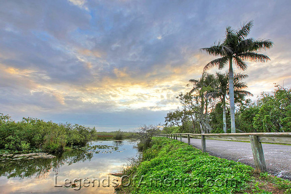 Everglades National Park, FL - Scenic Drive