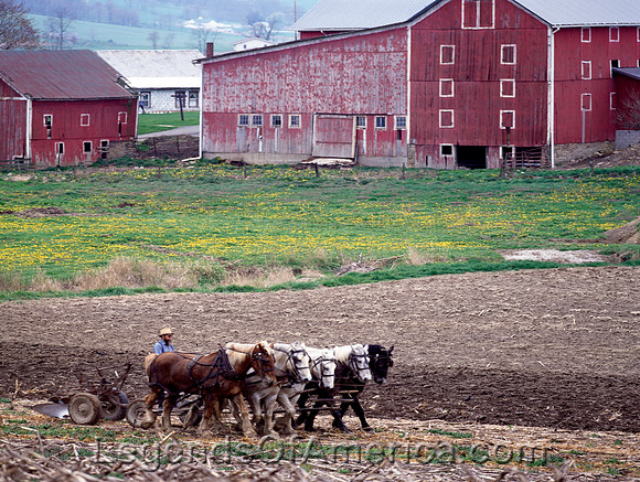 Lancaster, PA - Amish Farmer