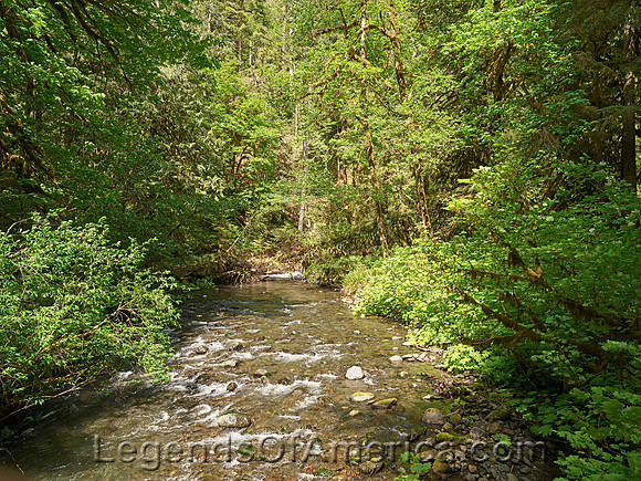 Olympic National Park, WA - Falls Creek