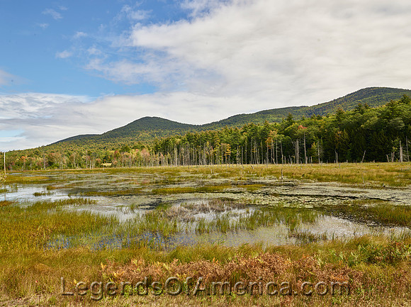 East Sandwich, NH - Bog