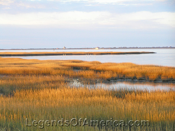 Assateague Island, MD - Salt Marsh Toms Cove