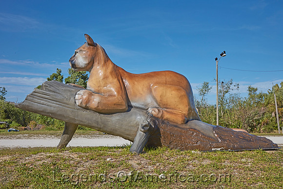 Everglades National Park, FL - Tamiami Trail Panther Sculpture