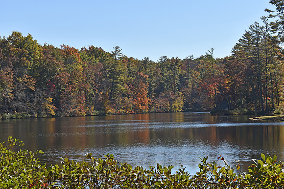 CumberlandMountainStateParkTNByrdLake-da