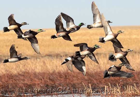 Rainwater Basin Wetland Management District, NE