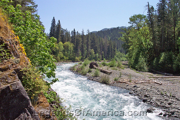 Olympic National Park, WA - Elwha River