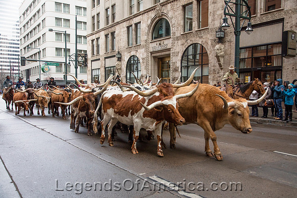 Denver, CO - National Western Stock Show Parade - 2
